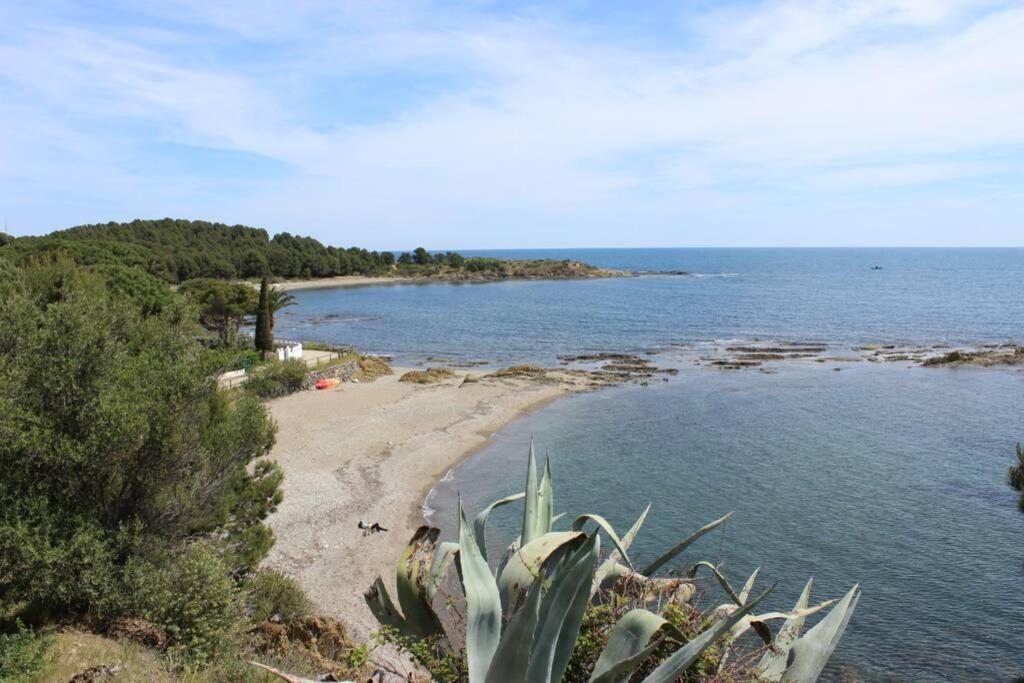 Luxury 4 Bed Apartment On Coastal Footpath At Cap Ras Llança Εξωτερικό φωτογραφία